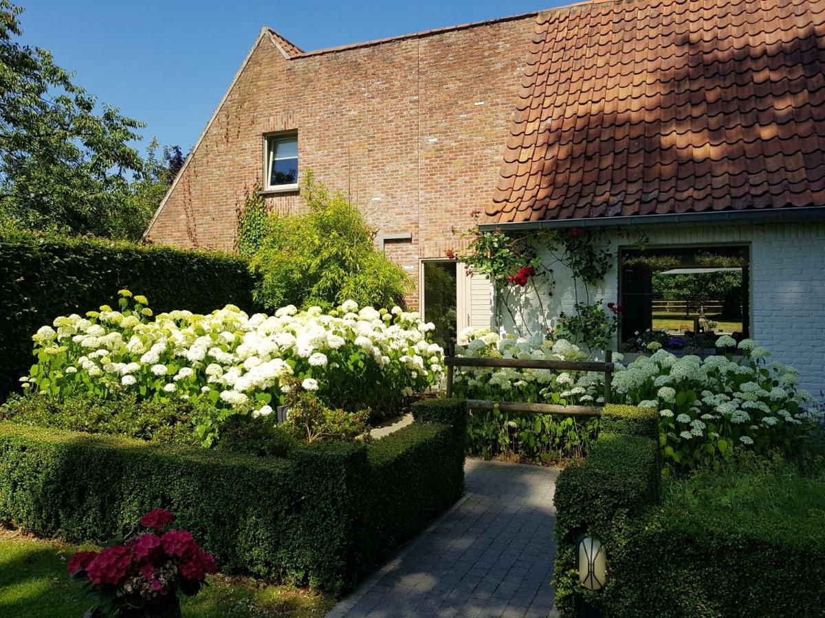 Willa The Two Oaks - Private Garden For Guests Hertsberge Zewnętrze zdjęcie