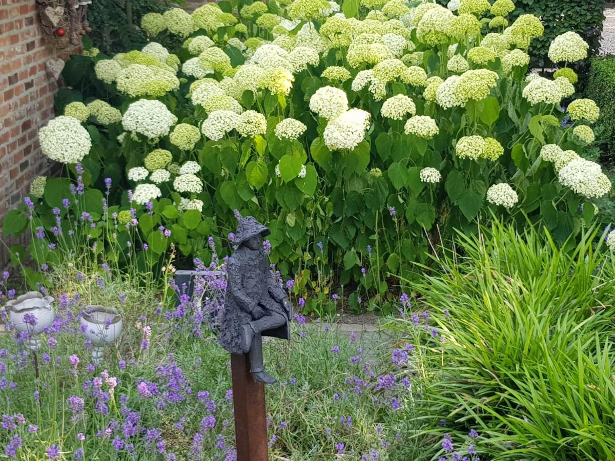 Willa The Two Oaks - Private Garden For Guests Hertsberge Zewnętrze zdjęcie