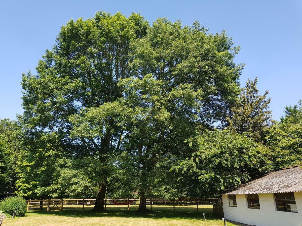 Willa The Two Oaks - Private Garden For Guests Hertsberge Zewnętrze zdjęcie