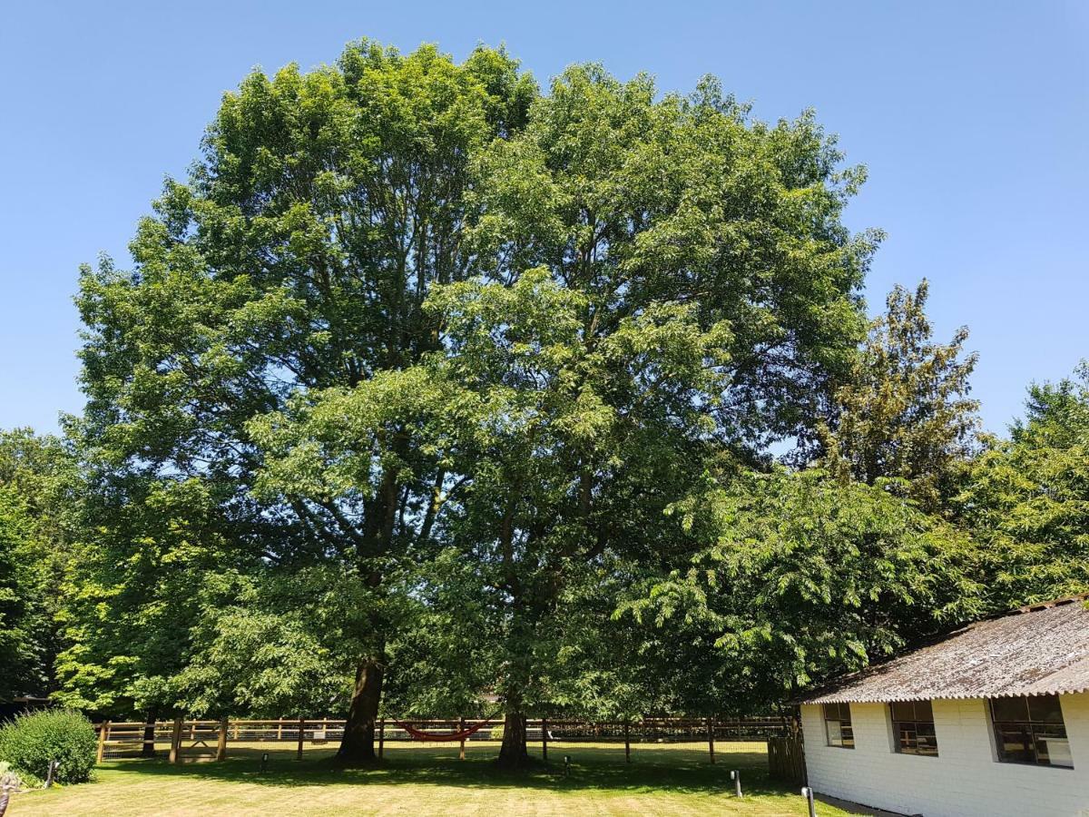 Willa The Two Oaks Hertsberge Zewnętrze zdjęcie